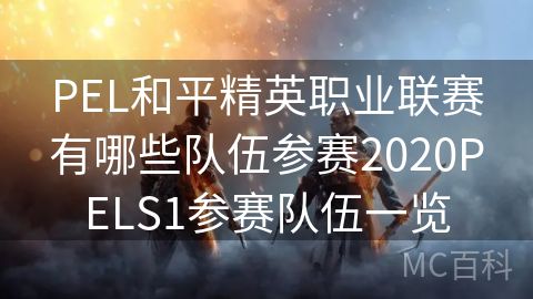 PEL和平精英职业联赛有哪些队伍参赛2020PELS1参赛队伍一览